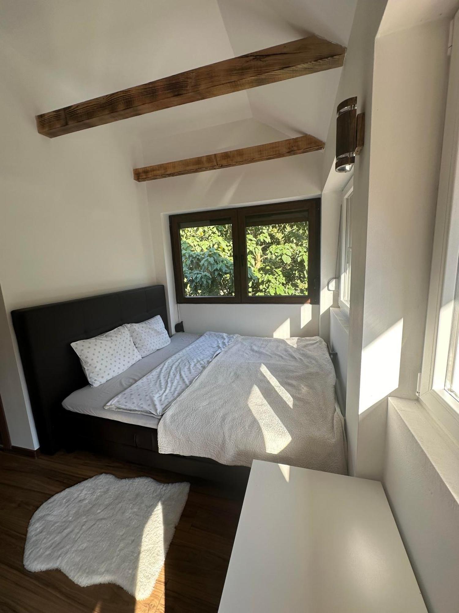 Zicka Plaza Appartement Kraljevo Buitenkant foto