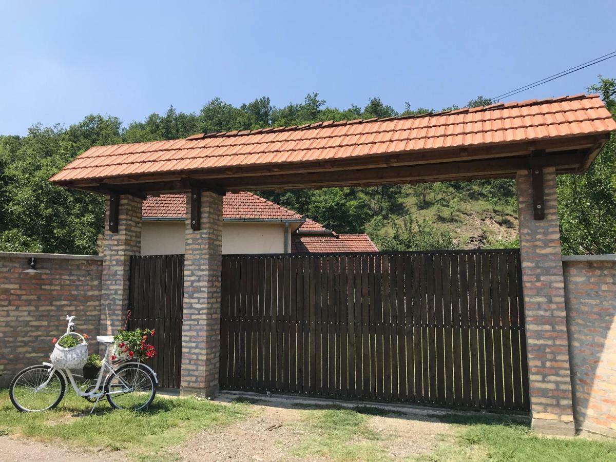 Zicka Plaza Appartement Kraljevo Buitenkant foto