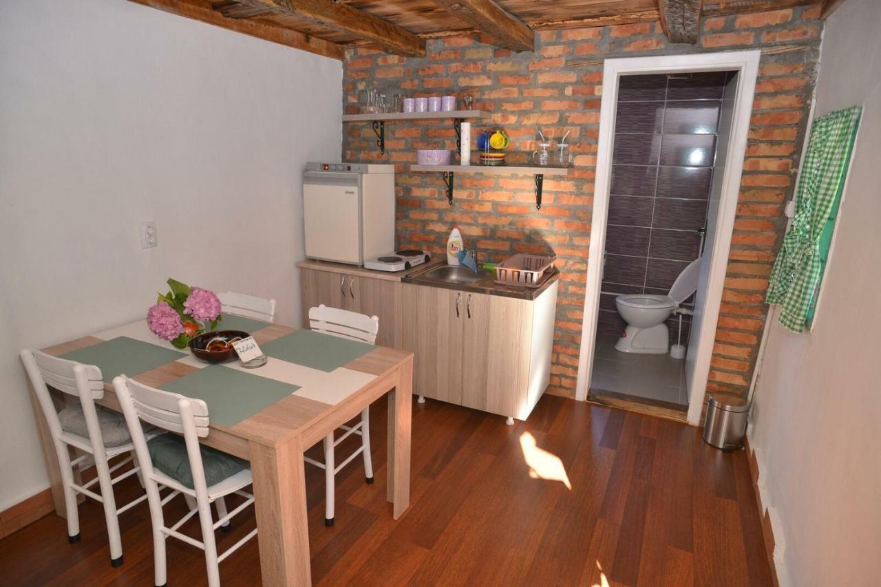 Zicka Plaza Appartement Kraljevo Buitenkant foto